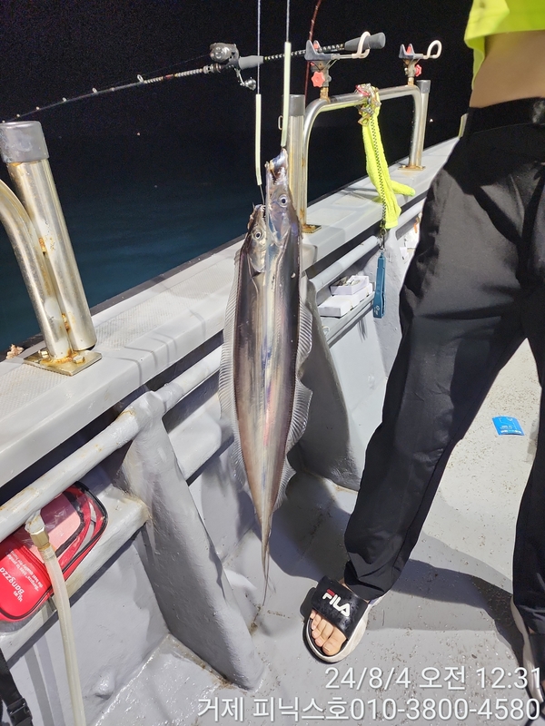 거제 피닉스호의 조황일지 이미지 - 2