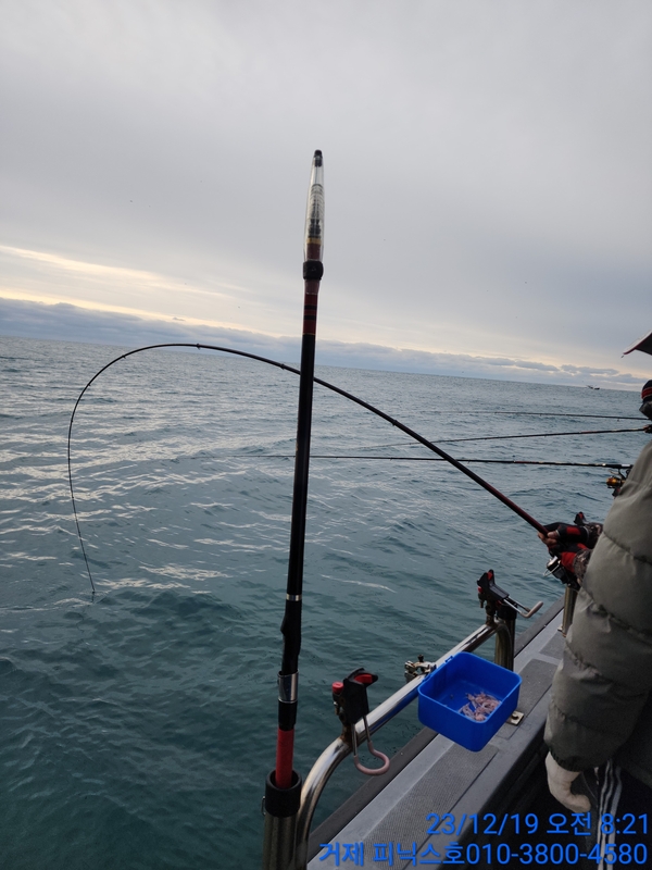 거제 피닉스호의 조황일지 이미지 - 1