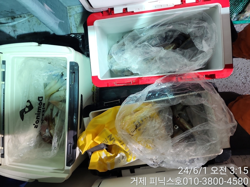 거제 피닉스호의 조황일지 이미지 - 8