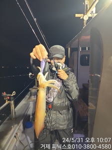 금요일  대포한치  조황 입니다 선상낚시로 잡은 물고기 조황