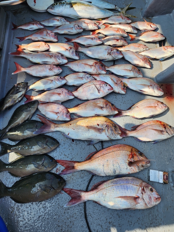 해당 선사를 대표하는 이미지