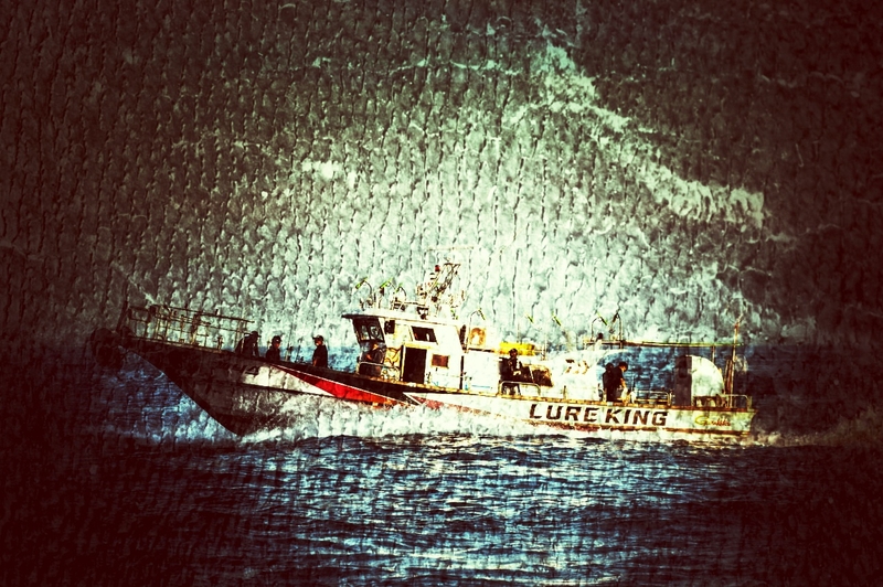 해당 선사를 대표하는 이미지