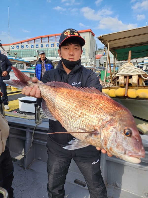 해당 선사를 대표하는 이미지