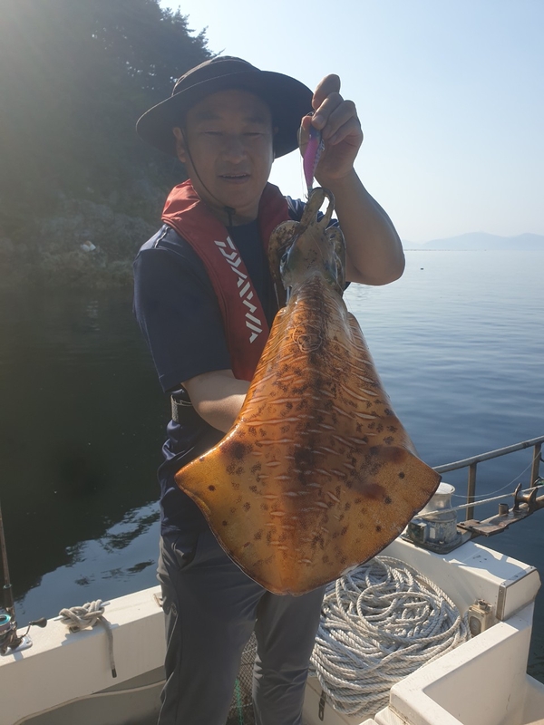 해당 선사를 대표하는 이미지