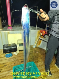 29일 원도권 대갈치에 한치까지 더합니다. 선상낚시로 잡은 물고기 조황