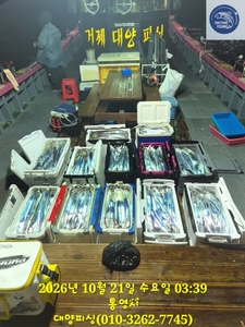 20일 텐빈 갈치 시즌 초대배 01시 쿨러 가득 선상낚시로 잡은 물고기 조황