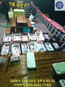 10일 텐야&텐빈 씨알 대박 입니다. 선상낚시로 잡은 물고기 조황