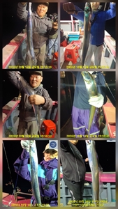 대마꼴 텐빈 씨알 초대박 4지5지 금일 출항확정 선상낚시로 잡은 물고기 조황