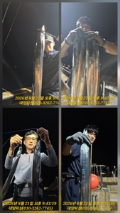 텐빈 평균4지 3시간 달려 대갈치 포인트  선상낚시로 잡은 물고기 조황