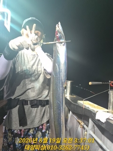 텐빈 갈치 3지부터 5지까지 활성도 살아납니다. 선상낚시로 잡은 물고기 조황