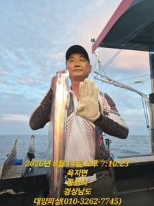 갈치 4지까지 씨알 좋아요 선상낚시로 잡은 물고기 조황