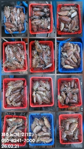 [[제주 뉴그린호(1호) 2월 21일 갑오징어조황]] 선상낚시로 잡은 물고기 조황