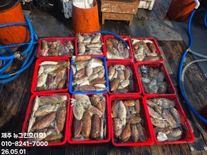 [[제주 뉴그린호(1호) 5월 1일 갑오징어조황]] 선상낚시로 잡은 물고기 조황