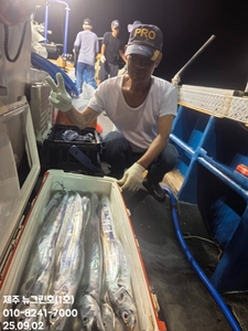 [[제주 뉴그린호(1호) 9월 1일 야간갈치 조황]] 선상낚시로 잡은 물고기 조황