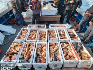 [[제주 뉴그린호(1호) 3월 27일 열기조황]] 선상낚시로 잡은 물고기 조황