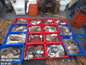 [[제주 뉴그린호(1호) 26년 1월 30일 갑오징어조황]] 선상낚시로 잡은 물고기 조황