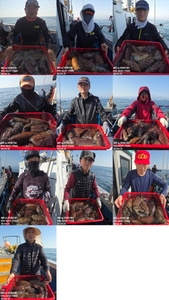 [[제주 뉴그린호(1호) 4월 15일 갑오징어조황]] 선상낚시로 잡은 물고기 조황