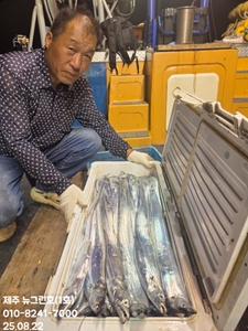 [[제주 뉴그린호(1호) 8월 21일 야간갈치 조황]] 선상낚시로 잡은 물고기 조황