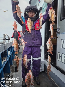 [[제주 뉴그린호(1호) 26년 1월 29일 열기조황]] 선상낚시로 잡은 물고기 조황