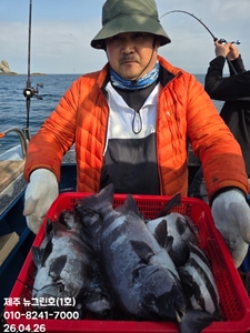 [[제주 뉴그린호(1호) 4월 26일 돌돔 조황]] 선상낚시로 잡은 물고기 조황