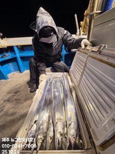 [[제주 뉴그린호(1호) 12월 28일 야간갈치 조황]] 선상낚시로 잡은 물고기 조황