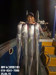 [[제주 뉴그린호(1호) 6월 14일 야간갈치 조황]] 선상낚시로 잡은 물고기 조황