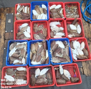 [[제주 뉴그린호(1호) 2월 14일 갑오징어조황]] 선상낚시로 잡은 물고기 조황