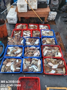 [[제주 뉴그린호(1호) 2월 5일 갑오징어조황]] 선상낚시로 잡은 물고기 조황
