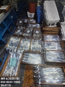 [[제주 뉴그린호 7월 15일 야간갈치 조황]] 선상낚시로 잡은 물고기 조황