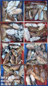 [[제주 뉴그린호(1호) 2월 18일 갑오징어조황]] 선상낚시로 잡은 물고기 조황