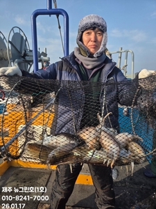 [[제주 뉴그린호(1호) 1월 17일 갑오징어 조황]] 선상낚시로 잡은 물고기 조황