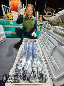 [[제주 뉴그린호(2호) 9월 16일 야간갈치 조황]] 선상낚시로 잡은 물고기 조황