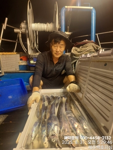 [[제주 뉴그린호(1호) 8월 30일 야간갈치 조황]] 선상낚시로 잡은 물고기 조황