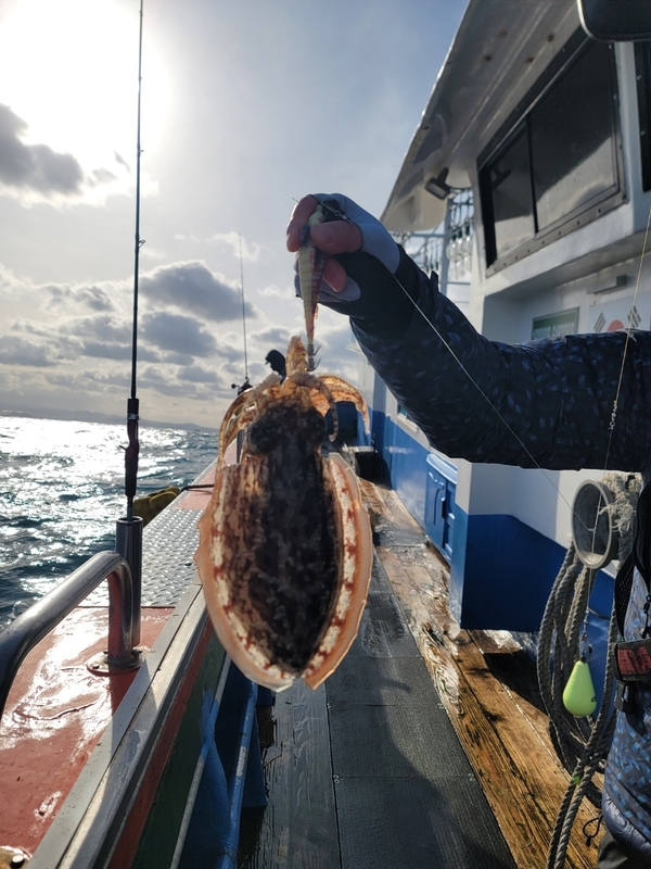 해당 선사를 대표하는 이미지