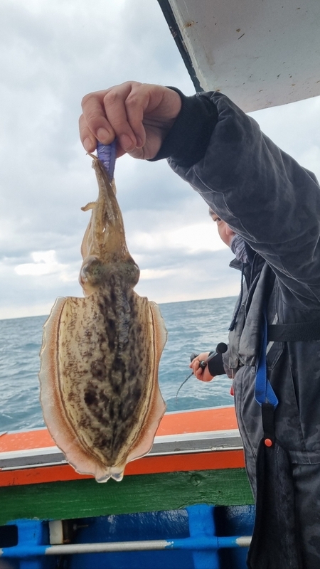 해당 선사를 대표하는 이미지