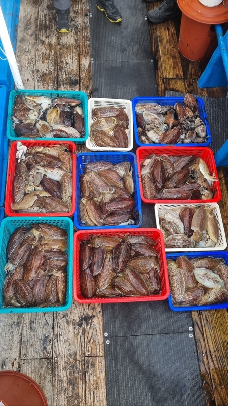 해당 선사를 대표하는 이미지