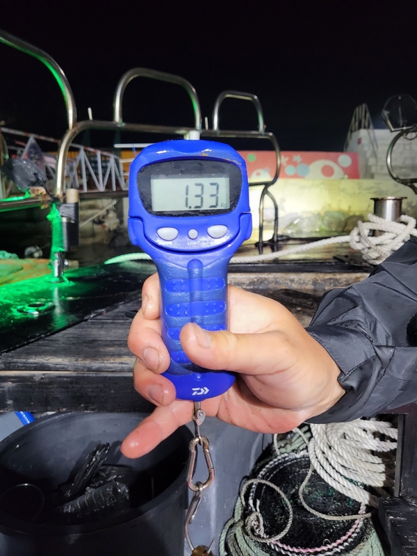 사량도 유니피싱 - 유니호의 조황일지 이미지 - 4