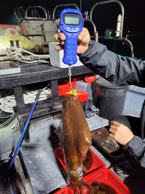 사량도 유니피싱 - 유니호의 조황일지 이미지 - 5