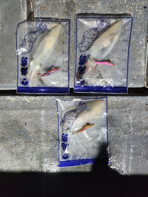 사량도 유니피싱 - 유니호의 조황일지 이미지 - 2