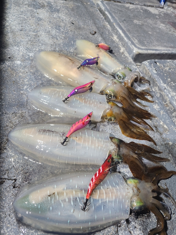 사량도 유니피싱 - 유니호의 조황일지 이미지 - 3