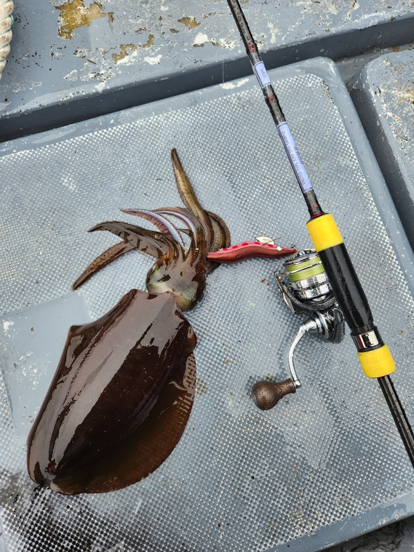 사량도 유니피싱 - 유니호의 조황일지 이미지 - 0