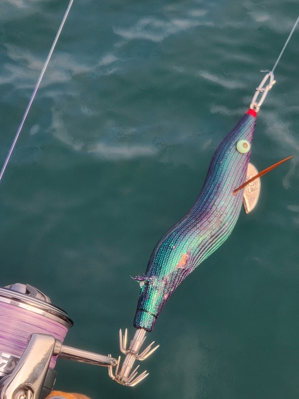 사량도 유니피싱 - 유니호의 조황일지 이미지 - 1