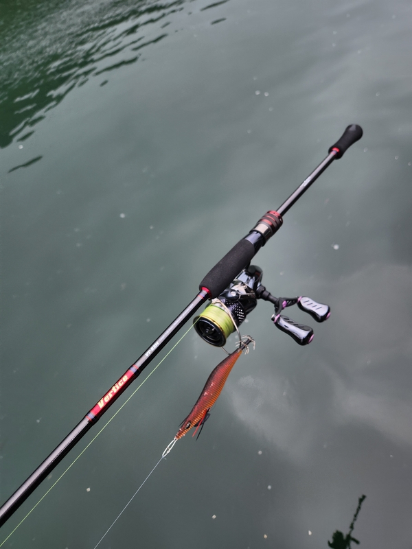 사량도 유니피싱 - 유니호의 조황일지 이미지 - 4