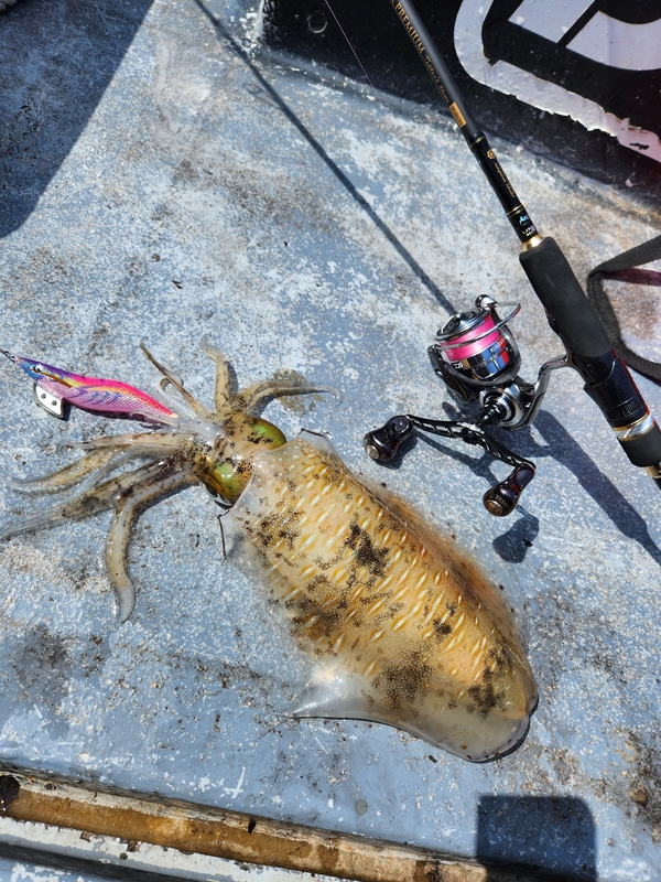 사량도 유니피싱 - 유니호의 조황일지 이미지 - 1