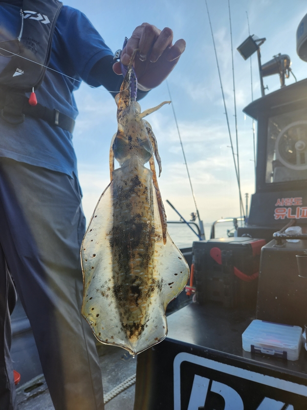 사량도 유니피싱 - 유니호의 조황일지 이미지 - 2