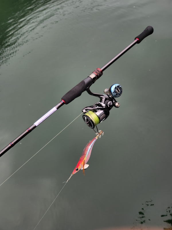 사량도 유니피싱 - 유니호의 조황일지 이미지 - 5