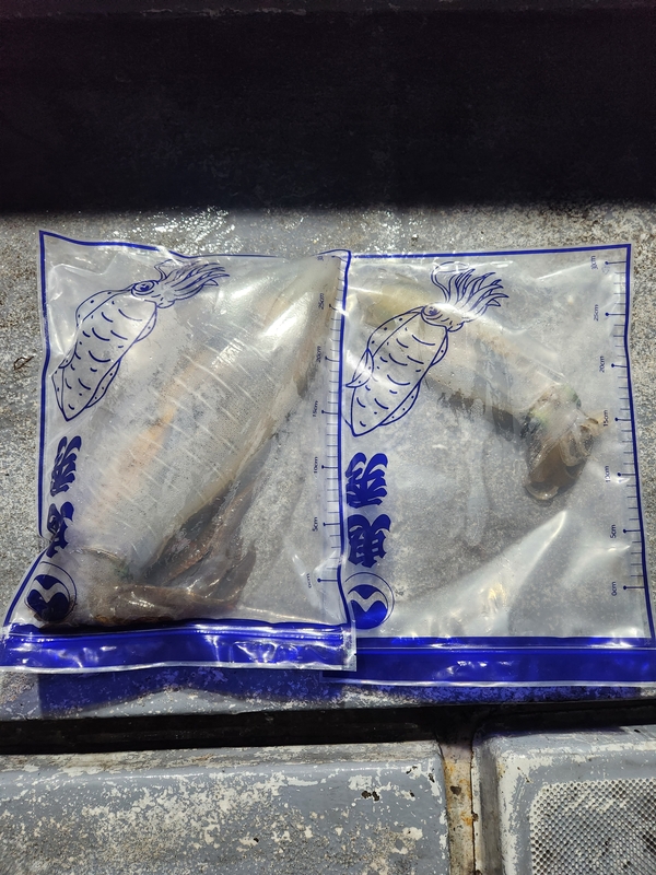 사량도 유니피싱 - 유니호의 조황일지 이미지 - 6