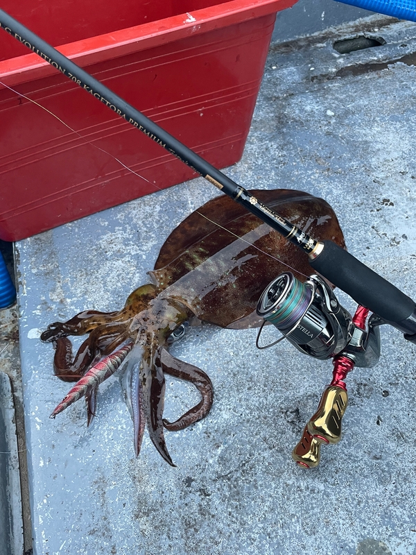 사량도 유니피싱 - 유니호의 조황일지 이미지 - 0