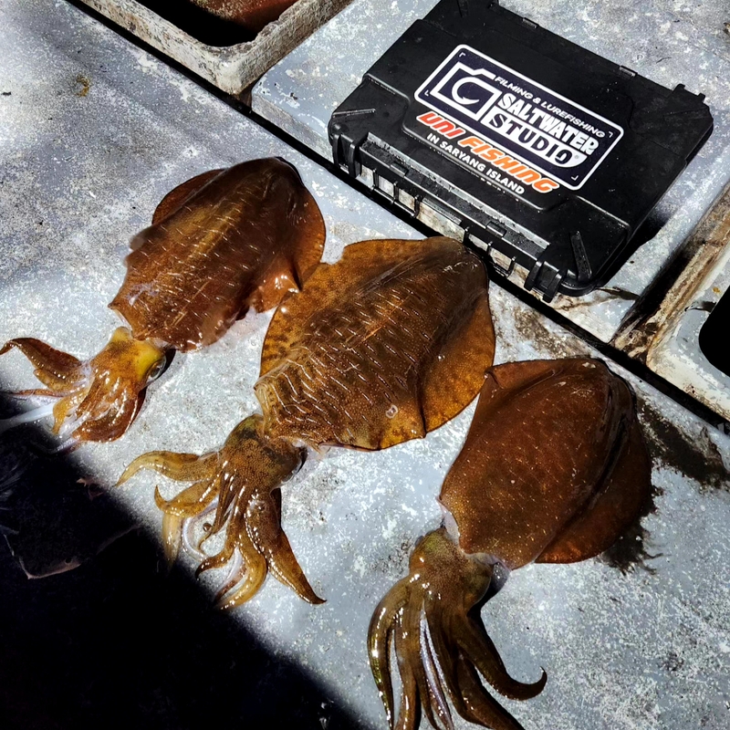 사량도 유니피싱 - 유니호의 조황일지 이미지 - 1