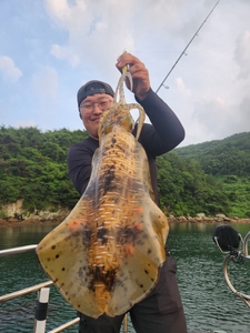 7월 12일 무늬캐스팅 조황. 선상낚시로 잡은 물고기 조황